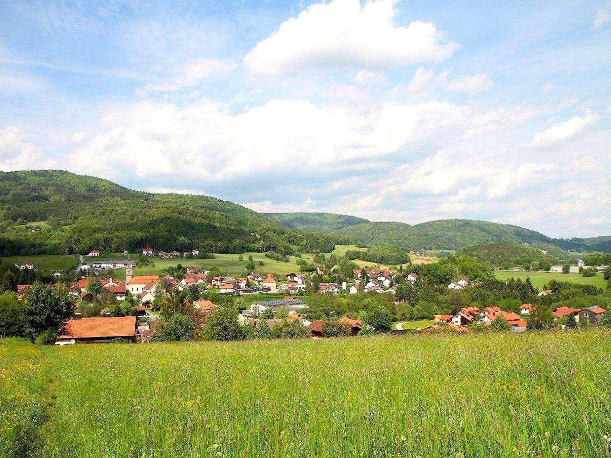 Comfortable Apartment In Zenting In Lower Bavaria מראה חיצוני תמונה
